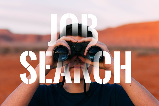 job+search+consulting